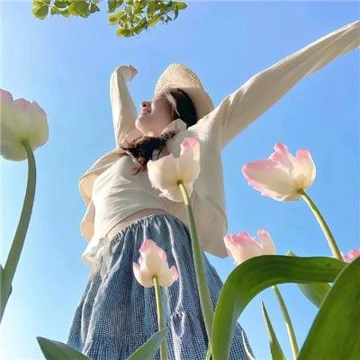 蔷薇处处香